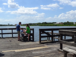 oldsmar fishing pier 34677